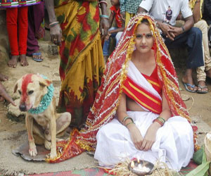 indijskaya-svadba-devushka-byla-vydana-zamuzh-za-psa